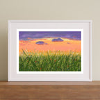 Golden Fields | Art Print